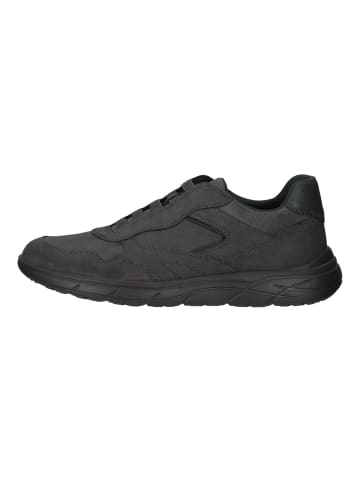 Geox Sneaker in Grau/Schwarz