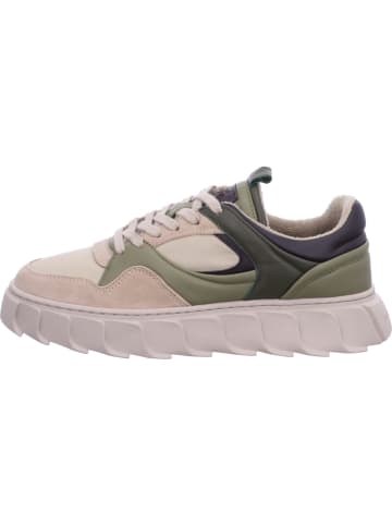 Apple of Eden Damen- Schnürschuhe  in Beige