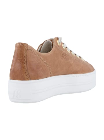 Paul Green Plateau Schnürschuhe in Braun