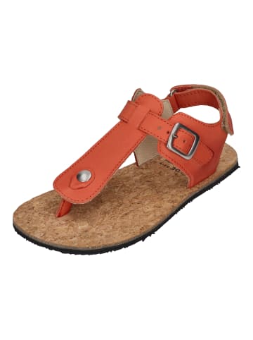 KOEL Sandalen ABRIANA NAPA  in orange