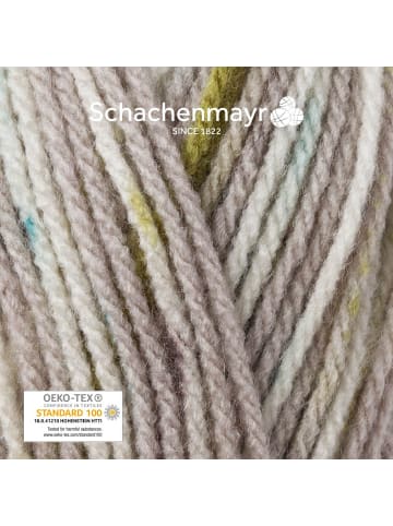 Schachenmayr since 1822 Handstrickgarne Bravo Color, 50g in Nebel