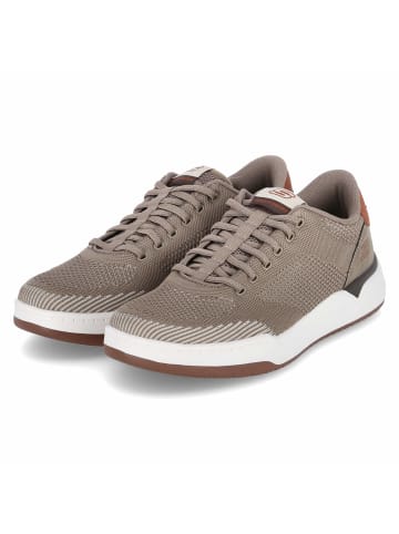 Skechers Schnürhalbschuh in taupe