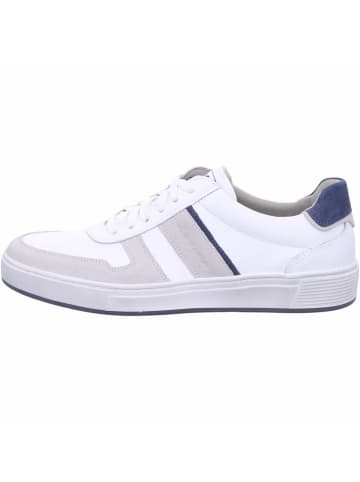 Pius Gabor Sneaker für Herren in offwhite