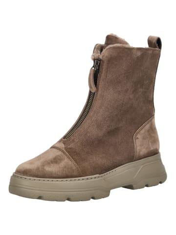 Paul Green Stiefelette in Braun