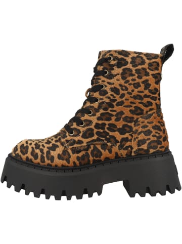Buffalo Boots Aspen Lace Up Mid in multicolor