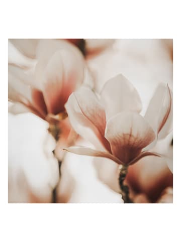 WALLART Leinwandbild - Zarte Magnolienblüten im Lichtspiel in Rosa