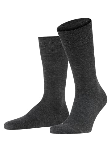 Falke Socken Sensitive Berlin in Anthra mel