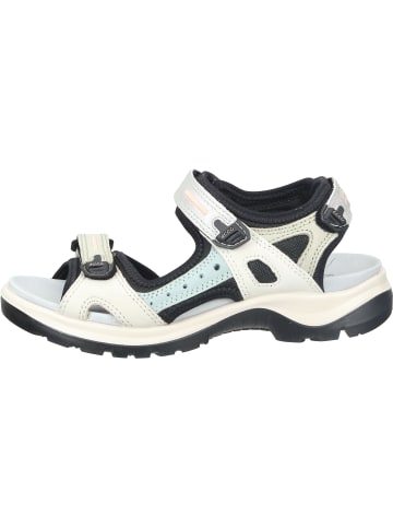 Ecco Outdoor-Sandalen in multicolor