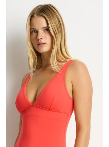 Sea Level Essentials Edit Badeanzüge in orange