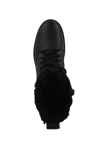 Clarks Schnürboots Orinoco2 Style in schwarz