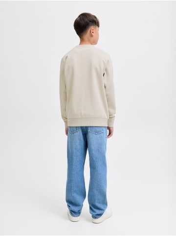 JACK & JONES Junior Sweatshirt in Moonbeam