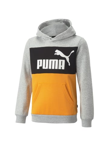 Puma Bodywear ESSENTIALS+ COLORBLOCK HOODIE FL in Grau