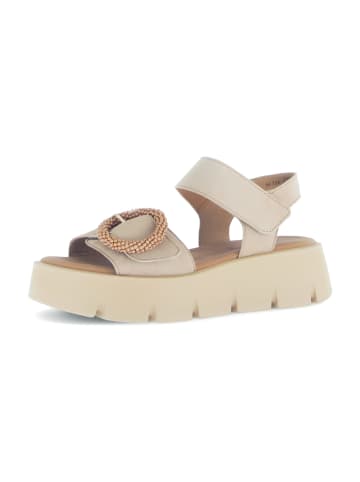 Gabor Plateau Sandaletten in Beige