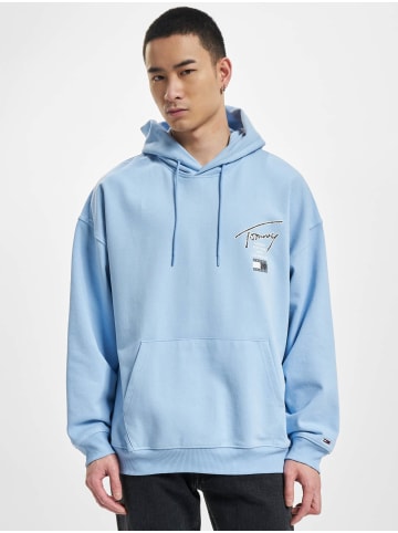 Tommy Hilfiger Kapuzenpullover in pearly blue