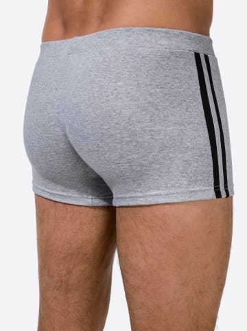 WITT WEIDEN Pants in grau-meliert