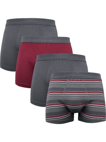 Erwin Müller Baumwolle, Single-Jersey Pants im 4er-Pack in anthrazit