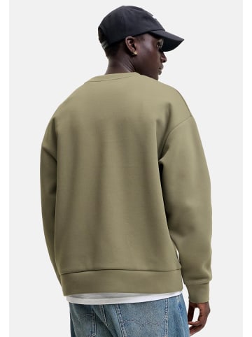Jack & Jones Sweatshirt Barron in Creme / grün