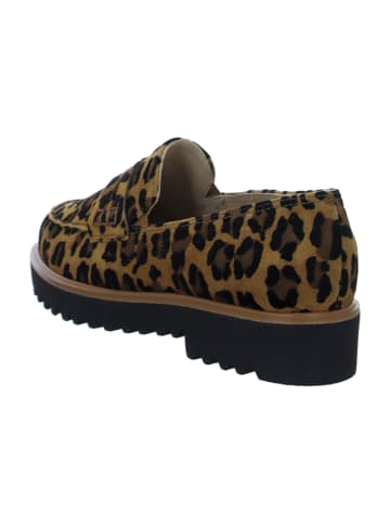 Paul Green Hochfront Slipper in Animal