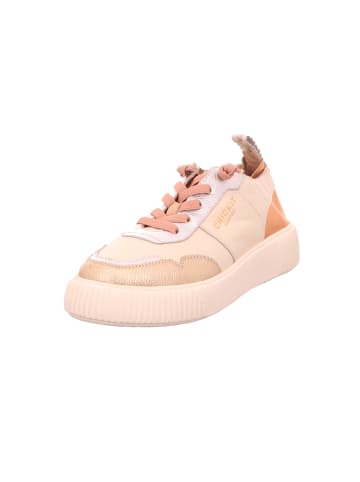 CRICKIT Schnürschuh in beige