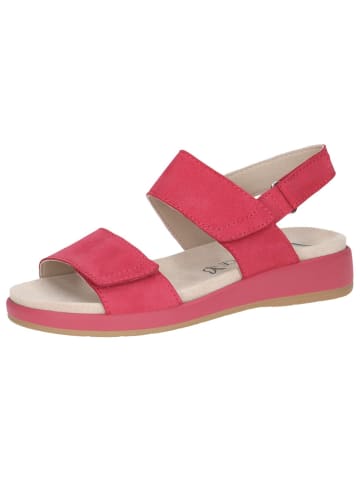 Caprice Sandale in PINK NUBUC
