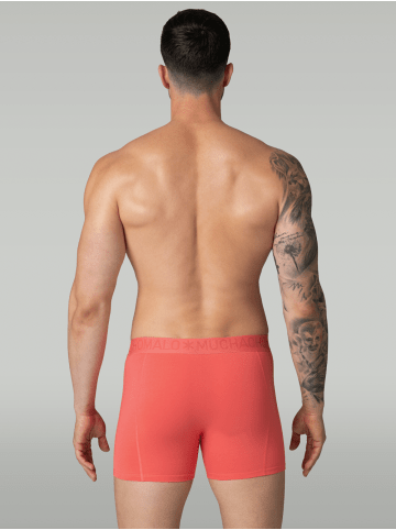 Muchachomalo 5er-Set: Boxershort in Mehrfarbig - für Herren