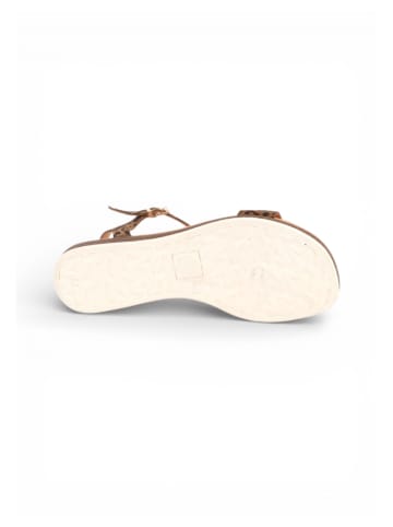 Apple of Eden Sandale ISA in LEO CIGAR