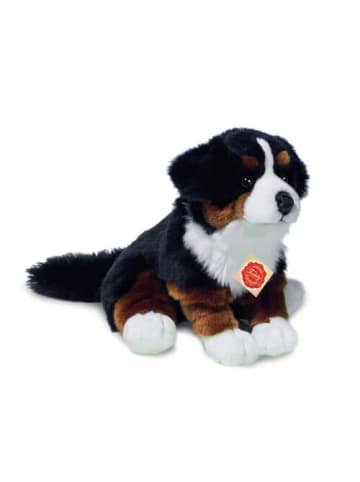 Teddy Hermann Plüschtier Berner Sennenhund sitzend, ca. 29 cm - ab 0 Monate