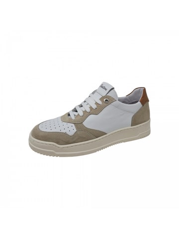 Exton Business Schuh  in Weiß
