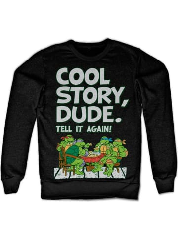 Teenage Mutant Ninja Turtles Pullover in Schwarz