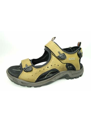 Ecco Outdoorsandalen in braun