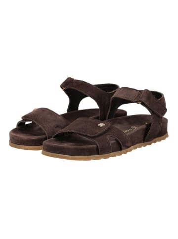 Paul Green Sandalen in Mocca