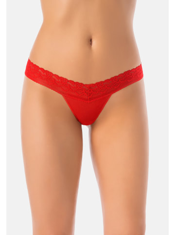 Teyli 3er Pack: Mesh Tanga mit floraler Spitze Leo in rot