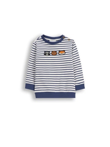 Coccodrillo Langarmshirt in bunt