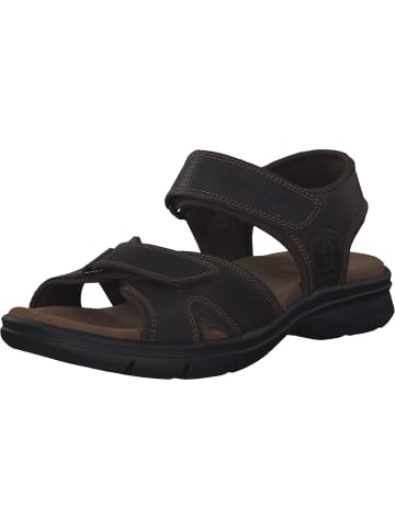 PANAMA JACK Klassische Sandalen in braun