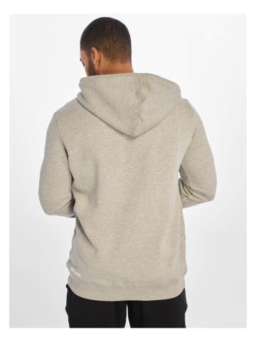 Ecko Unltd. Ecko Unltd. Herren Base Hoody in grey