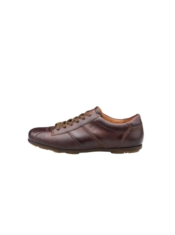LLOYD Schuhe Sneaker in BRAUN