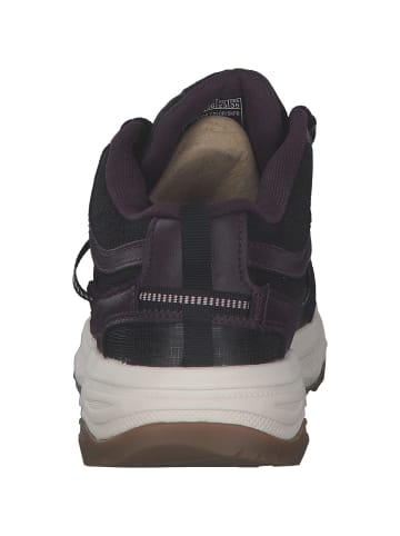 Skechers Sportschuhe in black purple