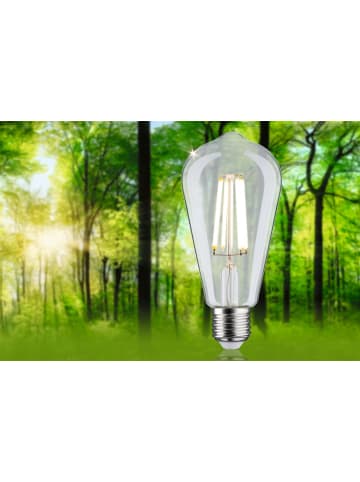 paulmann LED Eco-Line ST64 E27 840lm 4W 3000K klar 230V A