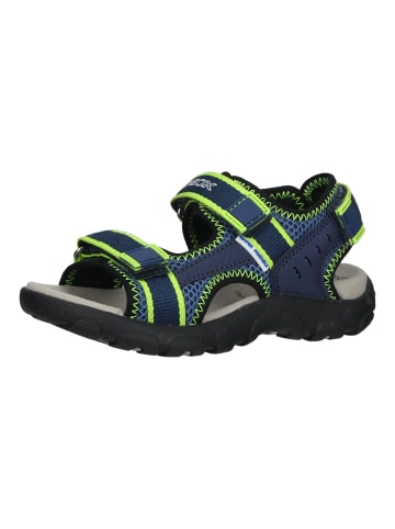 Geox Sandalen in Blau/Lime