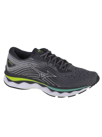 Mizuno Mizuno Wave Sky 6 in Grau