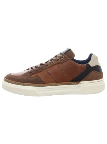 Bullboxer Sneaker Low in braun