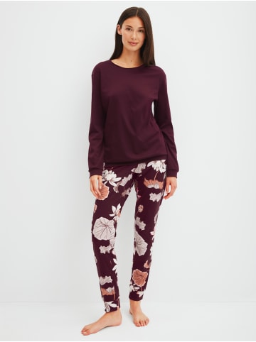 Calida Pyjama in black cherry