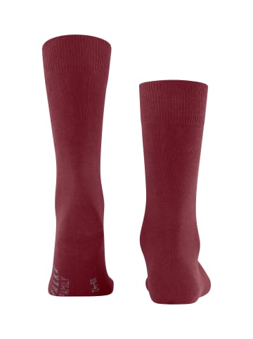 Falke Socken Family in Ruby