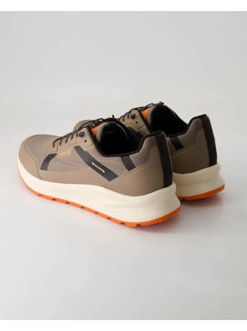 Tenhaag Sneaker low in Braun