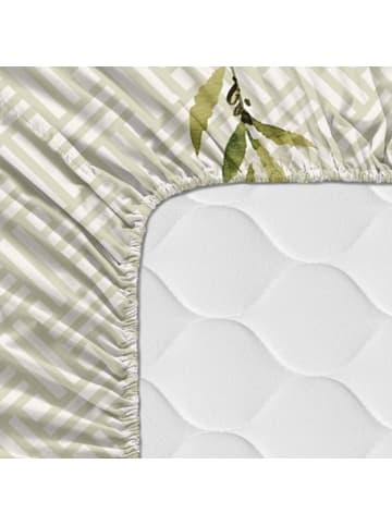 Happy Friday Monterosso Spannbettlaken