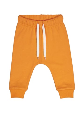 Fred´s World by GREEN COTTON Babysweathose in Tangerine