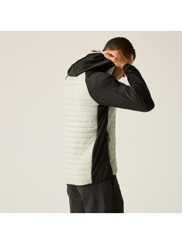 Regatta Hybrid Steppjacke Andreson Hybrid in sand