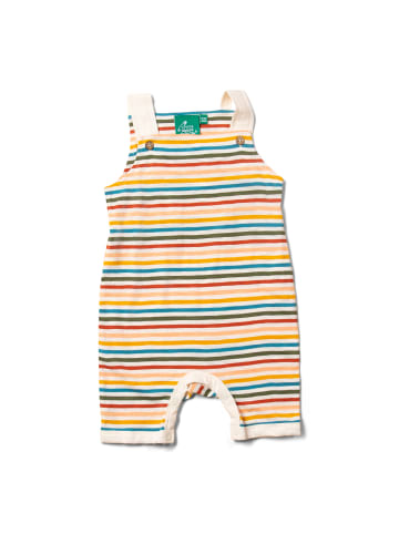 Little Green Radicals Storytime Latzhose Shorts in Bunt