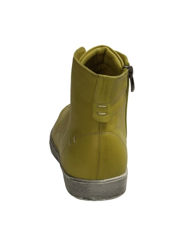 Andrea Conti Komfort Stiefeletten in Grün