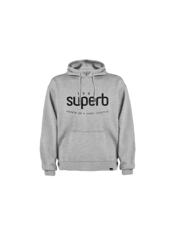 Superb Hoodie in Gray